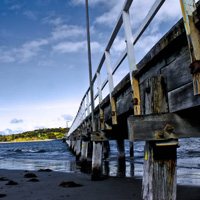 电话自动追呼系统